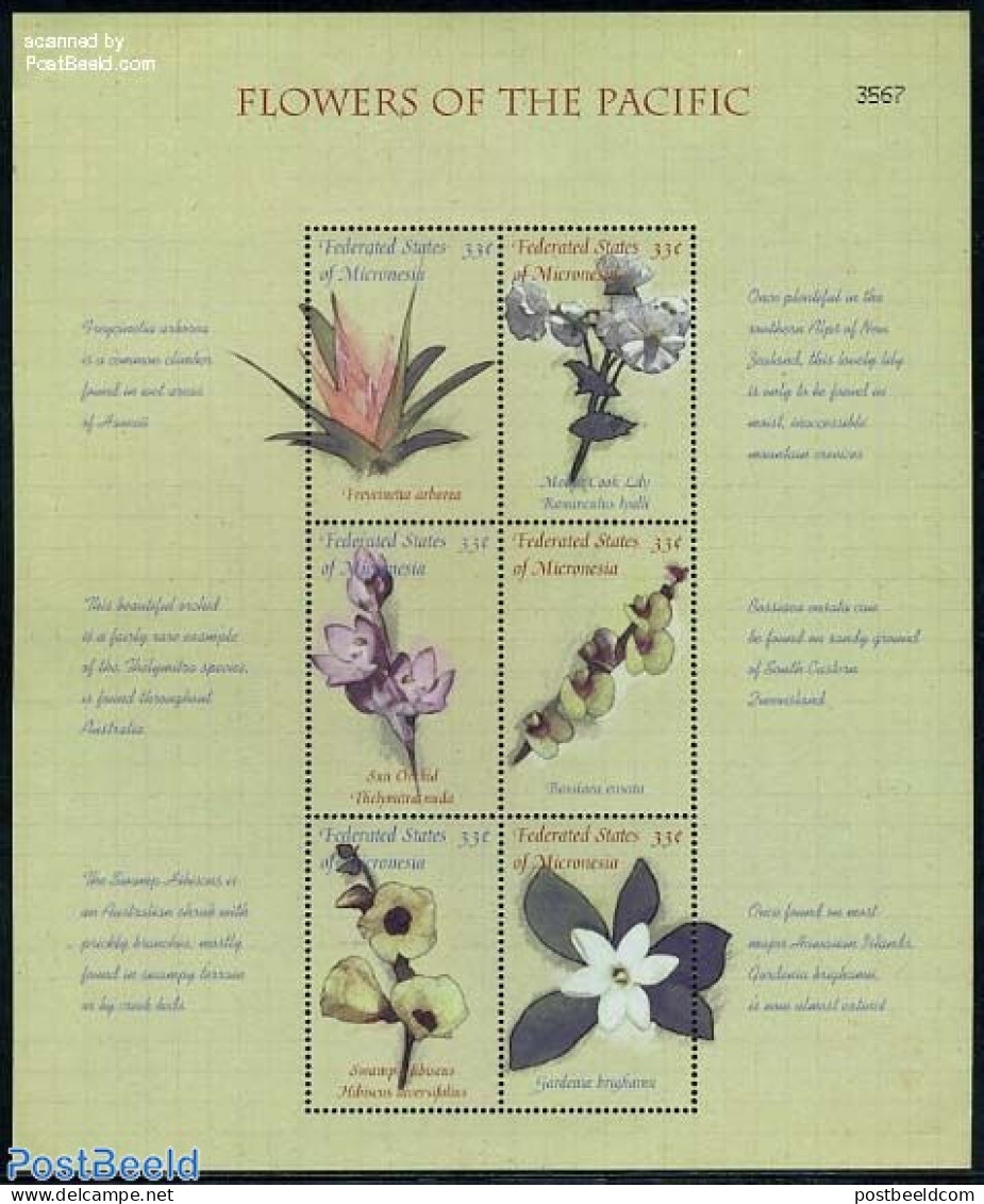 Micronesia 2000 Flowers 6v M/s, Mint NH, Nature - Flowers & Plants - Orchids - Micronésie