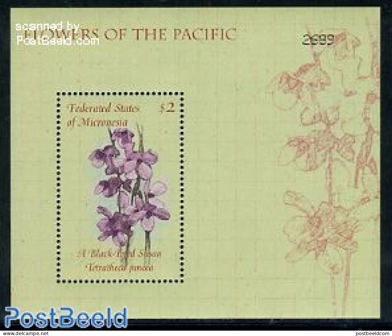 Micronesia 2000 Flowers S/s, Mint NH, Nature - Flowers & Plants - Mikronesien