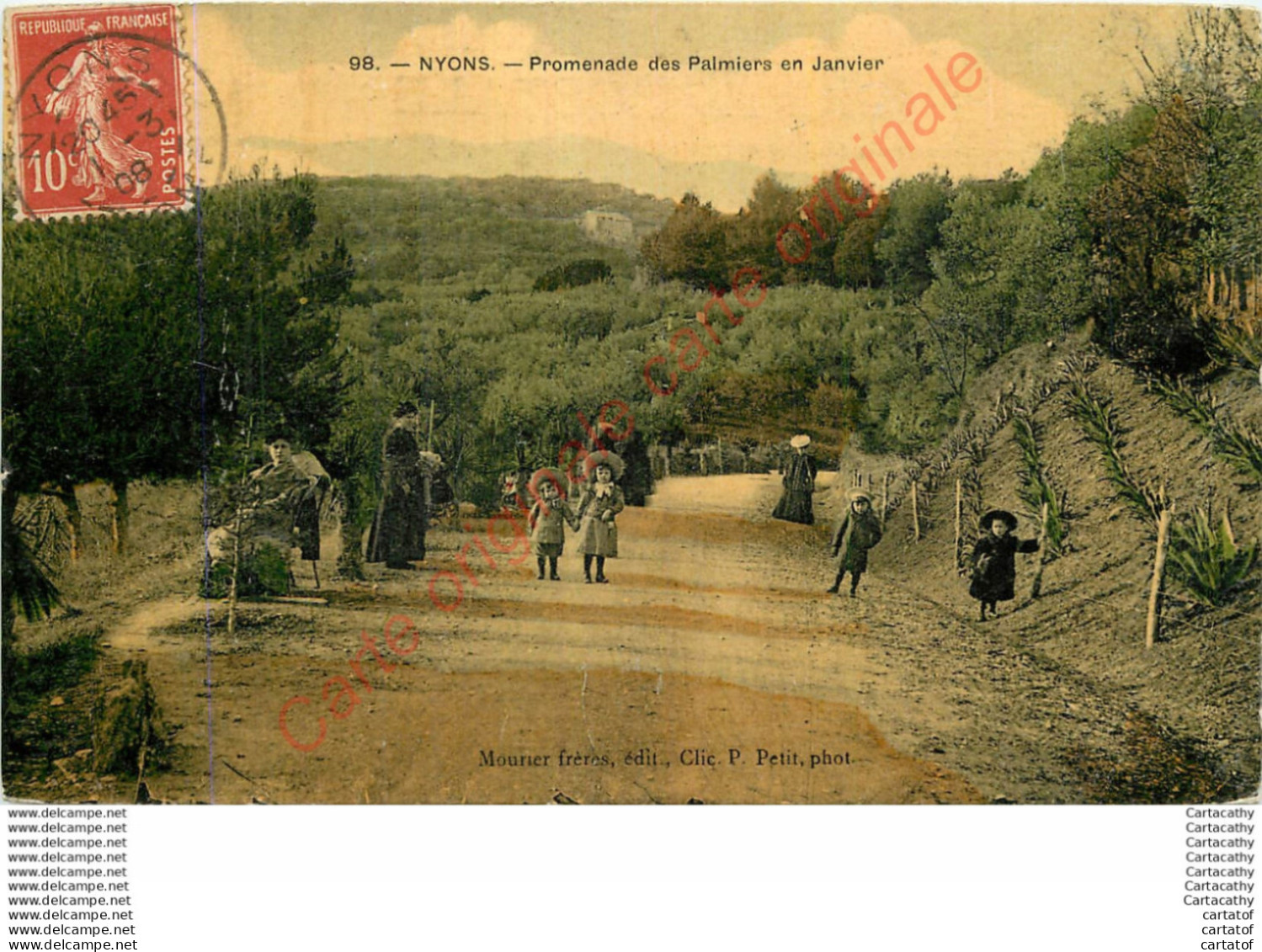 26.  NYONS .  Promenade Des Palmiers En Janvier .  ( CPA Animée Vernie ). - Nyons