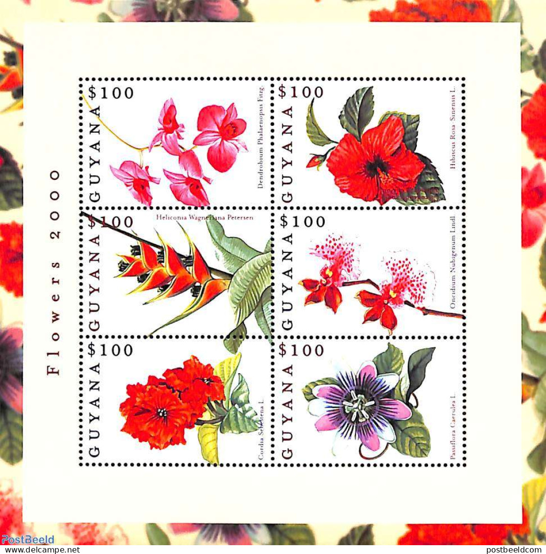 Guyana 2000 Flowers 6v M/s, Mint NH, Nature - Flowers & Plants - Guyane (1966-...)