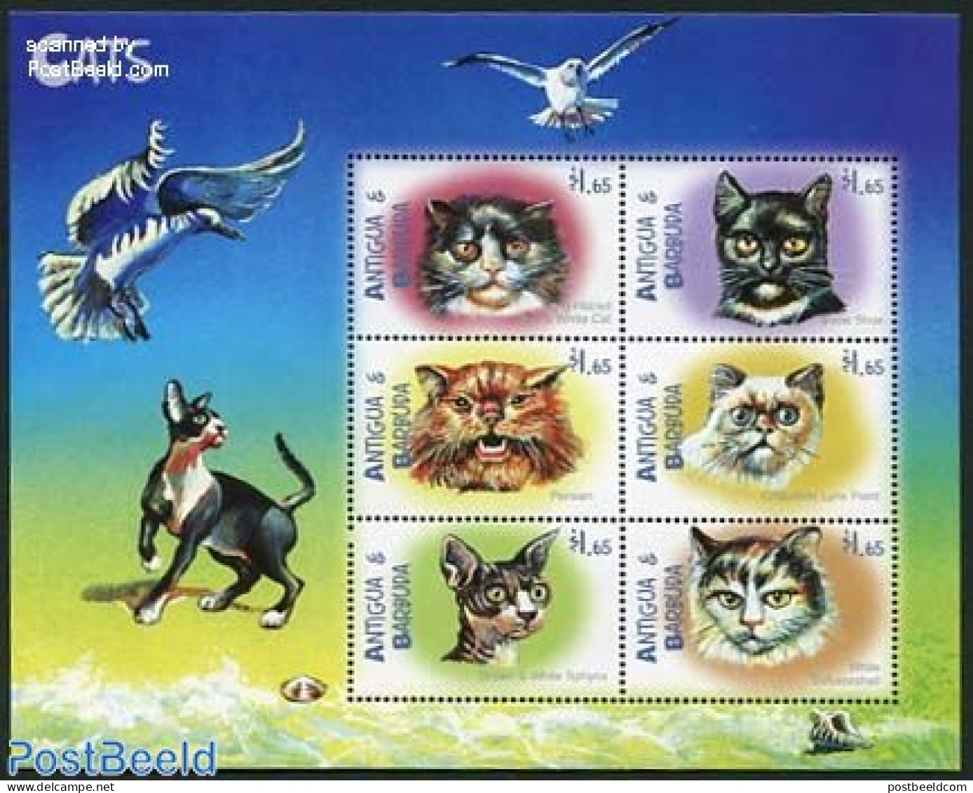 Antigua & Barbuda 2000 Cats 6v M/s, Mint NH, Nature - Cats - Antigua And Barbuda (1981-...)