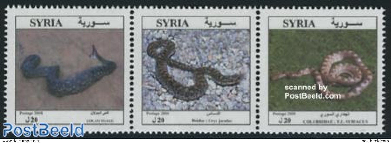 Syria 2008 Reptiles 3v [::], Mint NH, Nature - Reptiles - Snakes - Syrien