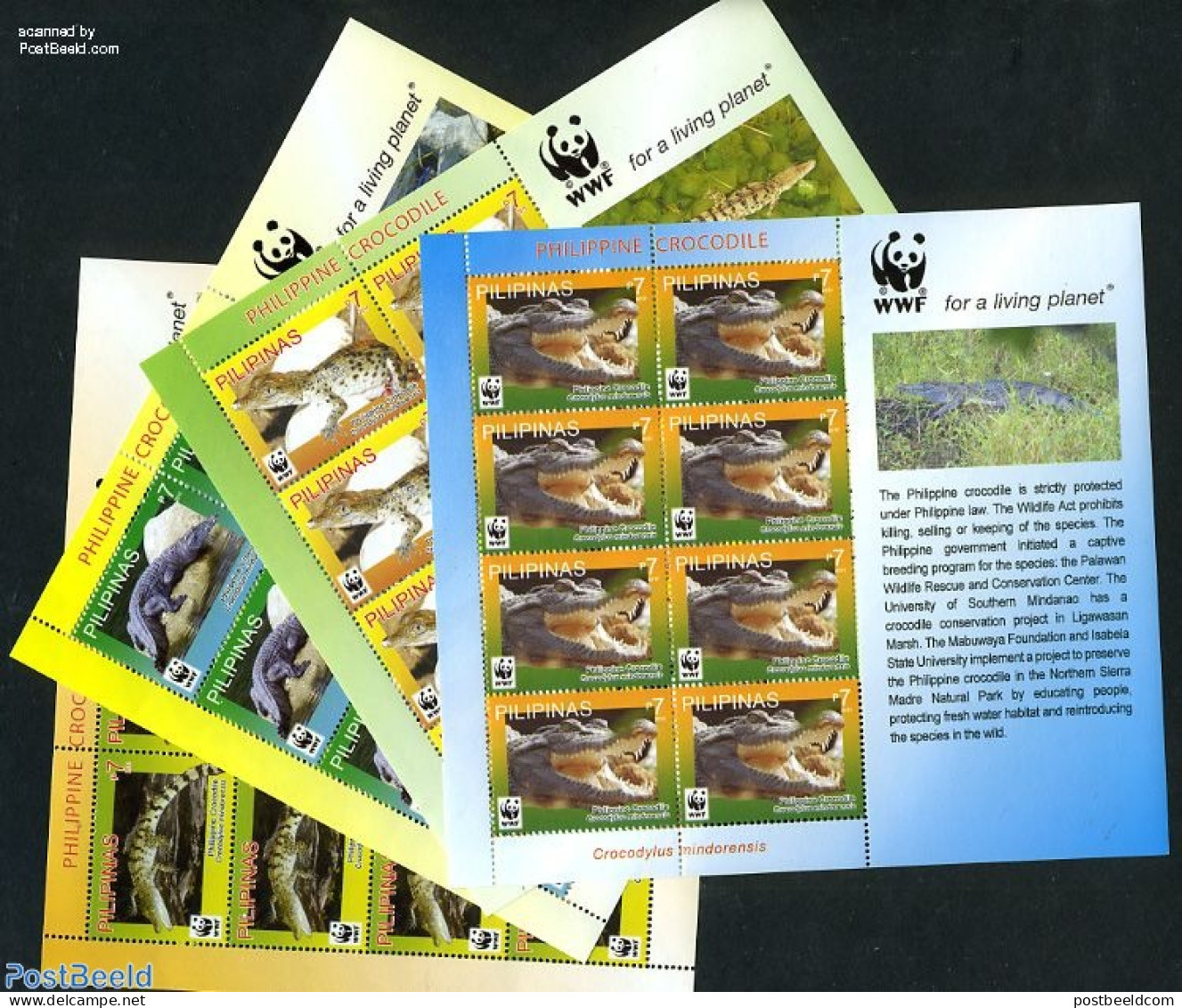 Philippines 2011 WWF, Crocodiles 4 M/s, Mint NH, Nature - Animals (others & Mixed) - Crocodiles - Reptiles - World Wil.. - Filippine