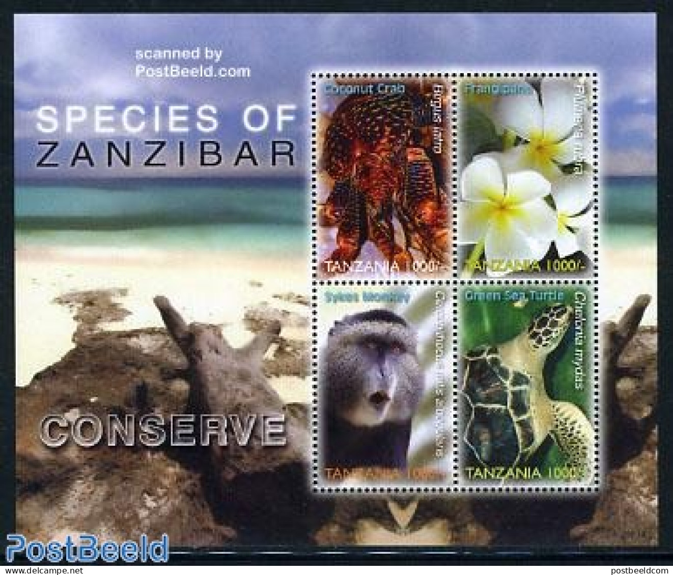 Tanzania 2006 Species Of Zanzibar 4v M/s, Mint NH, Nature - Flowers & Plants - Monkeys - Reptiles - Turtles - Tansania (1964-...)