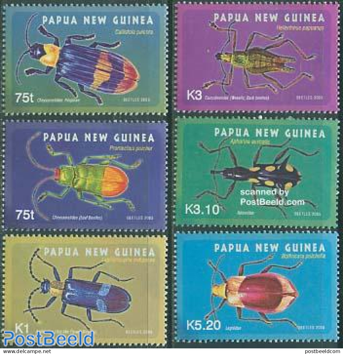 Papua New Guinea 2005 Beetles 6v, Mint NH, Nature - Insects - Papúa Nueva Guinea