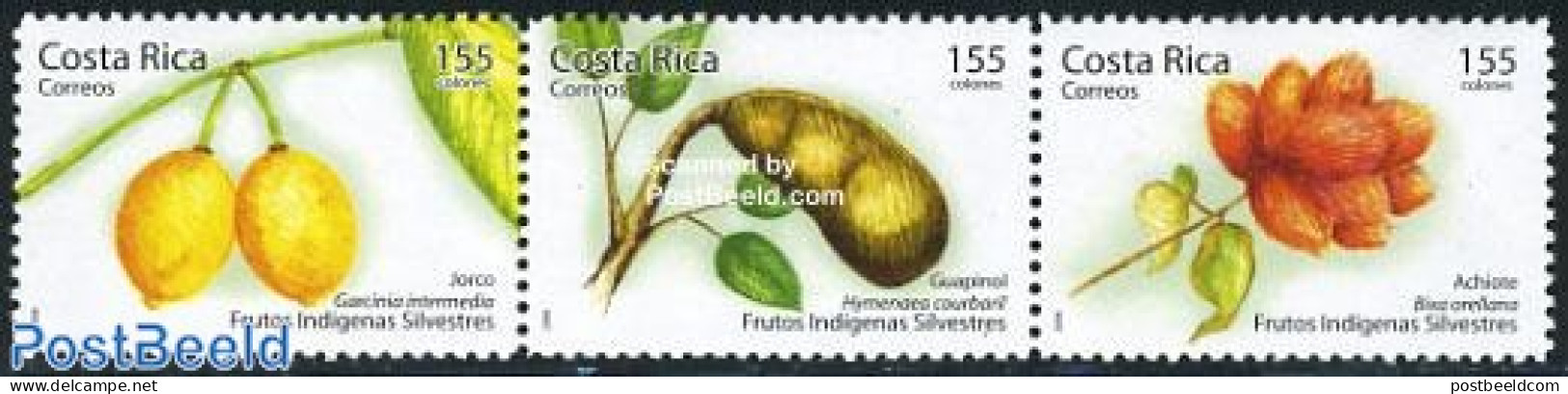 Costa Rica 2006 Fruits 3v [::], Mint NH, Nature - Fruit - Fruits