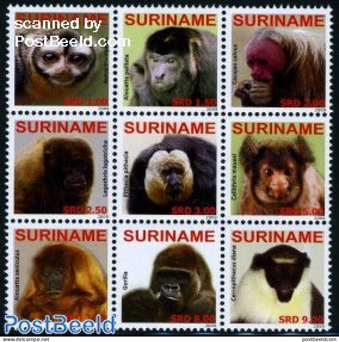 Suriname, Republic 2009 Primates 9v, Sheetlet, Mint NH, Nature - Animals (others & Mixed) - Monkeys - Suriname