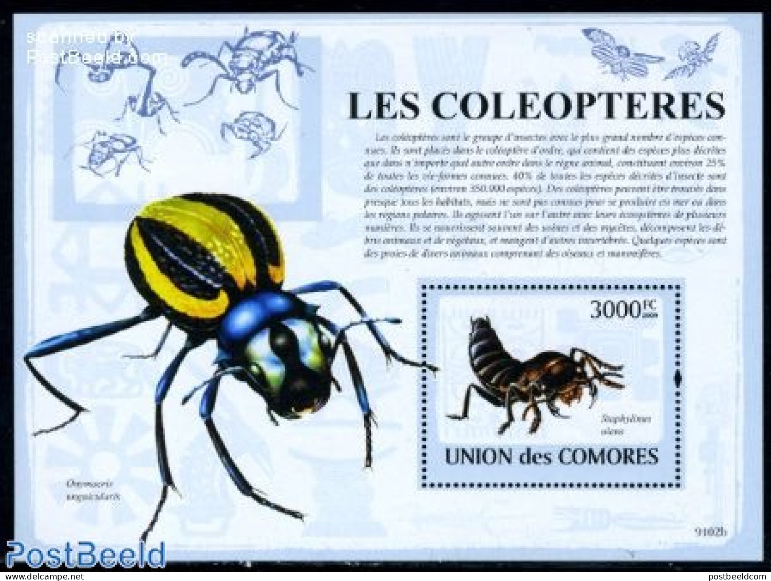 Comoros 2009 Beetles S/s, Mint NH, Nature - Insects - Comoren (1975-...)