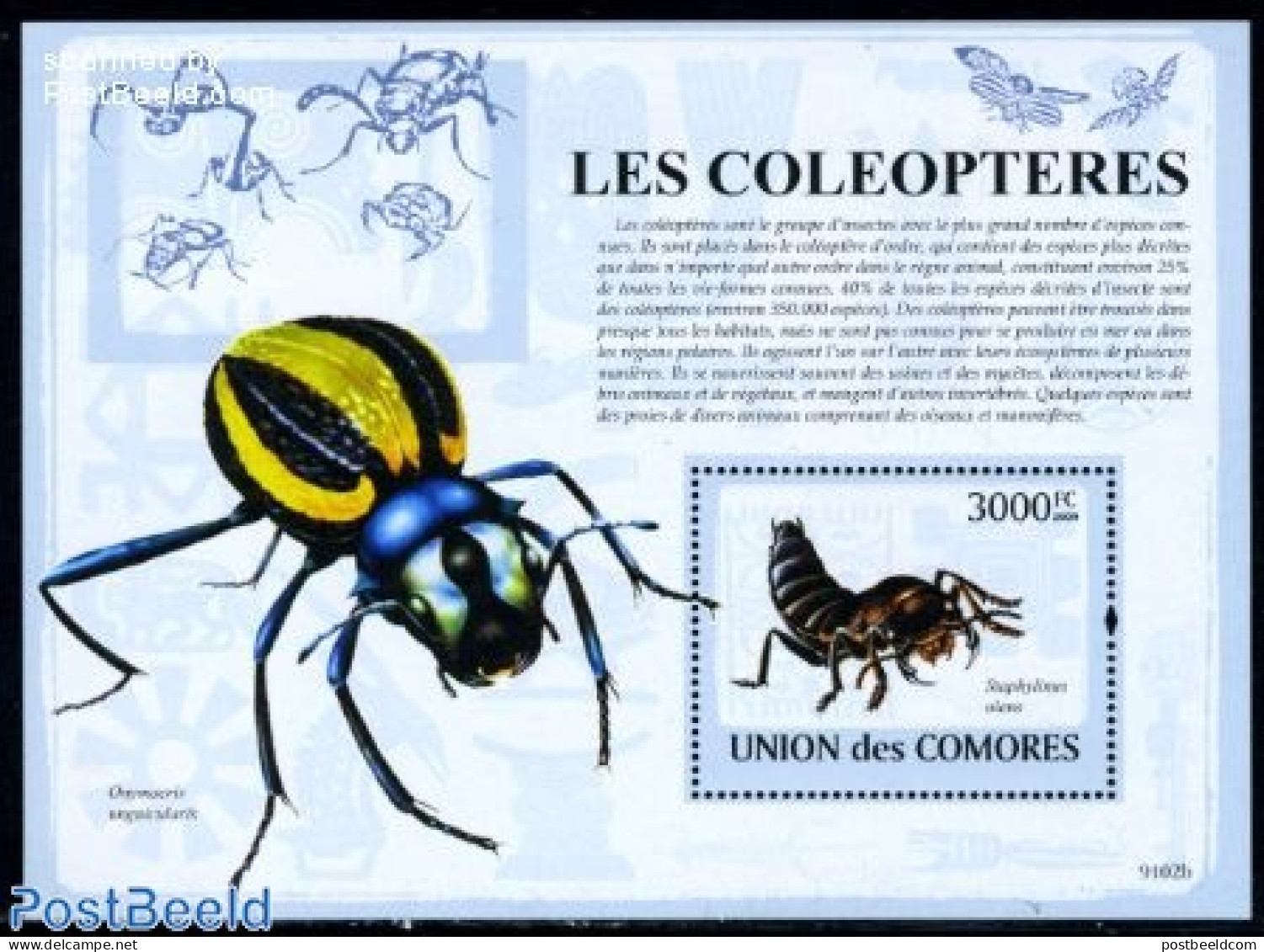 Comoros 2009 Beetles S/s, Mint NH, Nature - Insects - Komoren (1975-...)