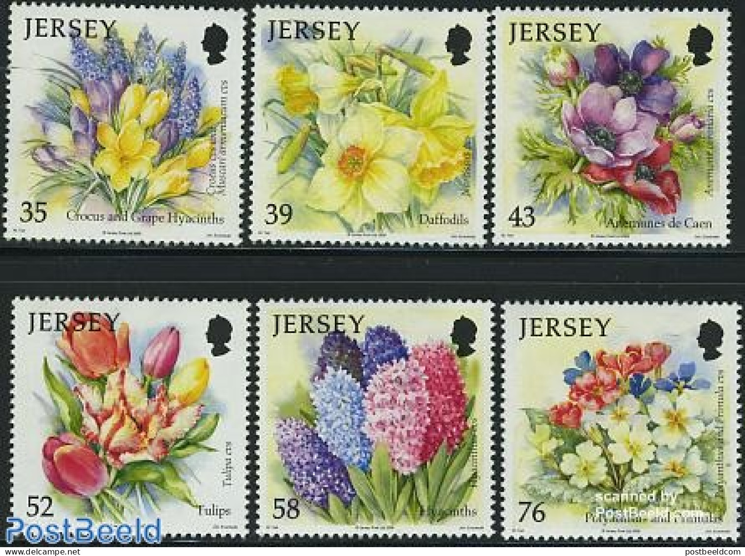 Jersey 2009 Flowers 6v, Mint NH, Nature - Flowers & Plants - Jersey