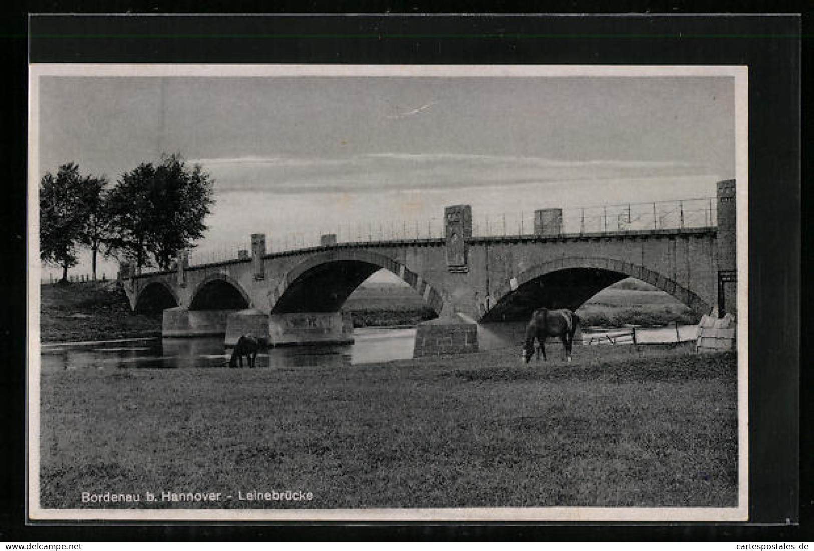 AK Bordenau B. Hannover, Pferde Weiden An Der Leinebrücke  - Hannover