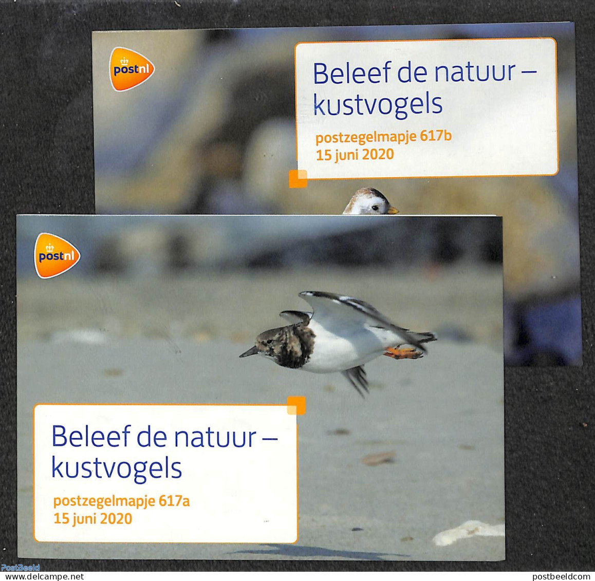 Netherlands 2020 Coastal Birds 10v, Presentation Pack 617a+b, Mint NH, Nature - Birds - Nuevos