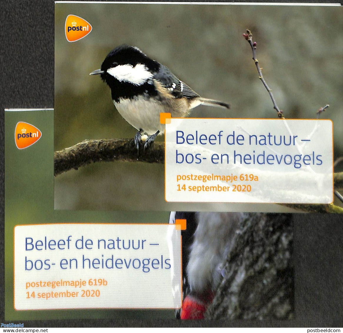 Netherlands 2020 Birds Of The Forest And Moor 10v, Presentation Pack 619a+b, Mint NH, Nature - Birds - Nuevos