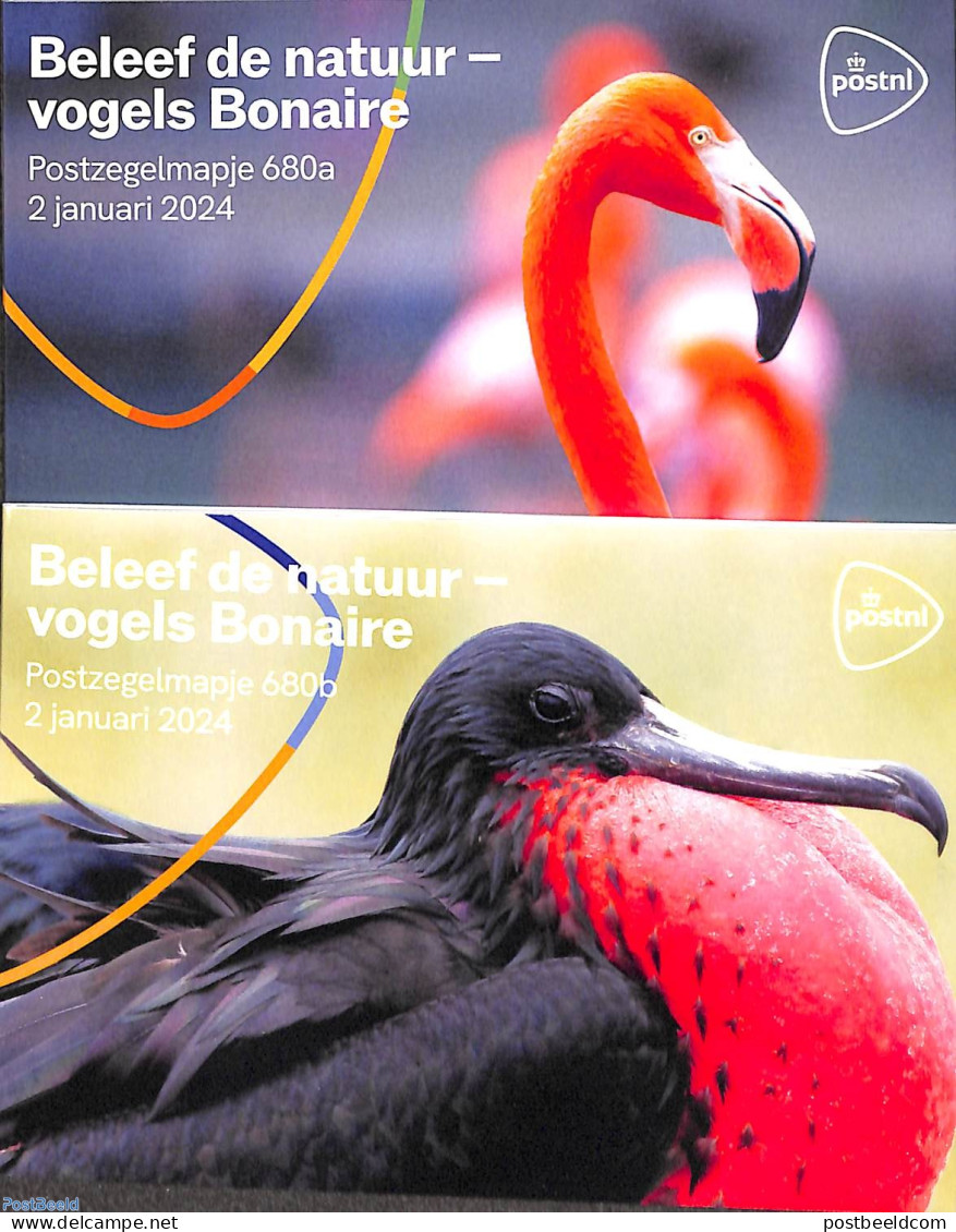 Netherlands 2024 Birds From Bonaire, Presentation Pack 680a+b, Mint NH, Nature - Birds - Flamingo - Ungebraucht