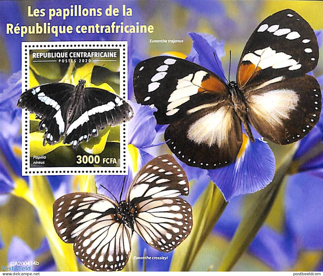 Central Africa 2020 Butterflies S/s, Mint NH, Nature - Butterflies - Repubblica Centroafricana