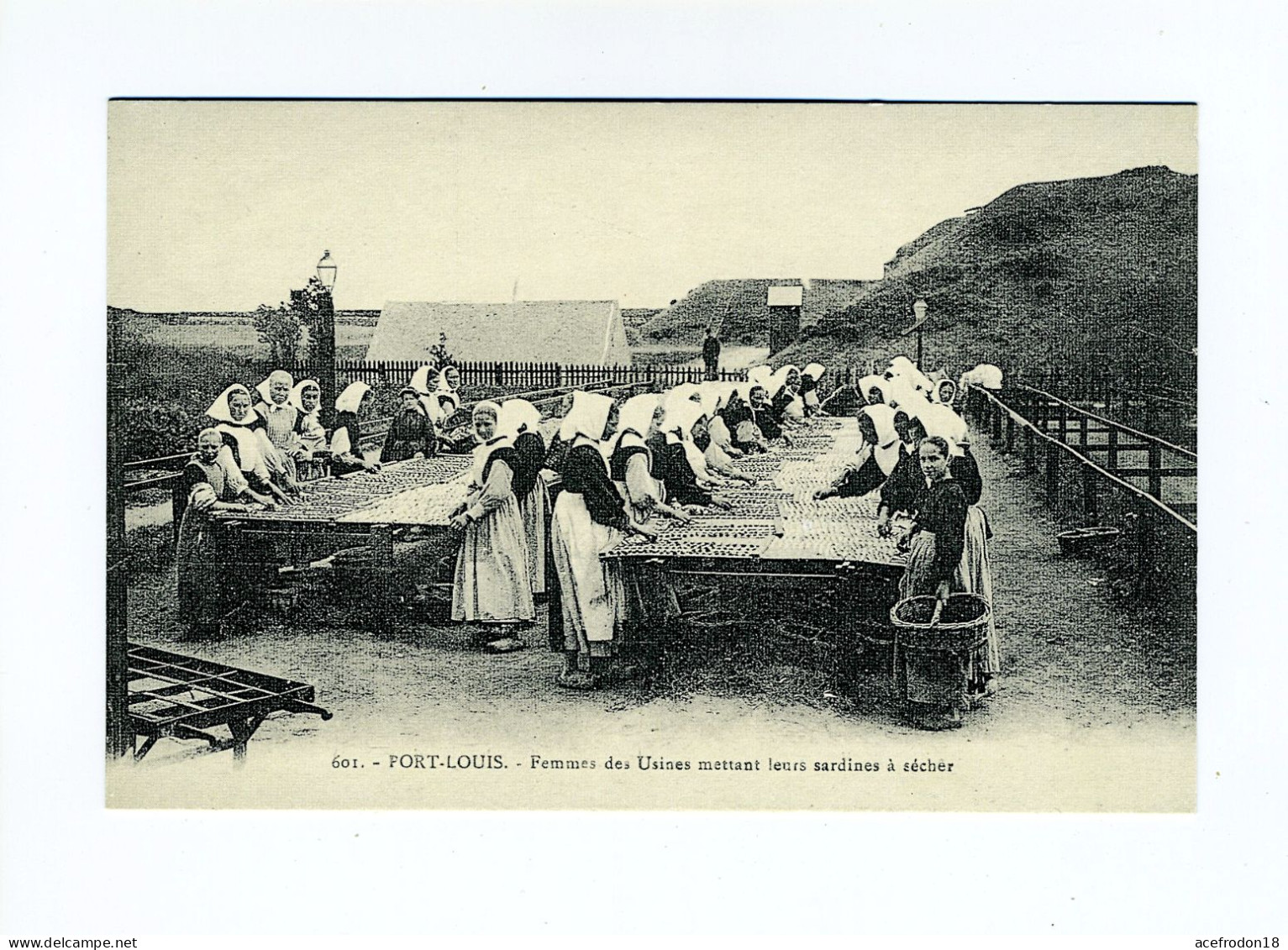 Port-Louis - Femmes Des Usines Mettant Leurs Sardines à Sécher - Port Louis