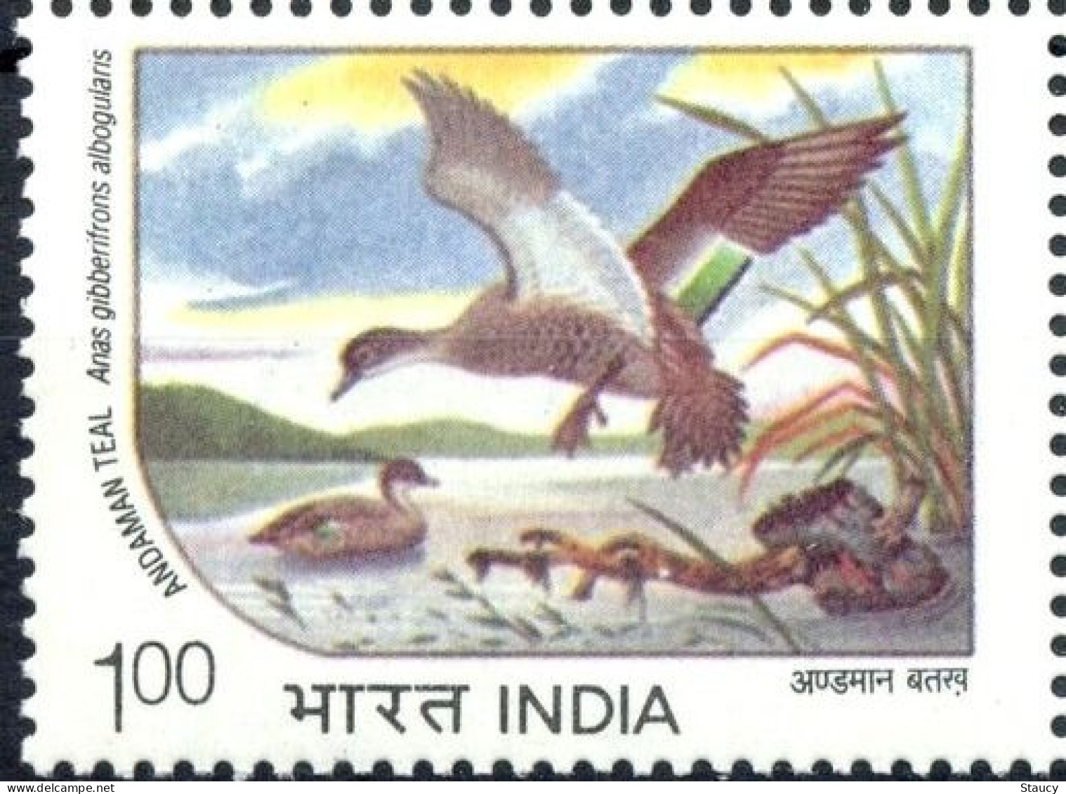 INDIA 1994 Endangered Water Birds 1v STAMP MNH "WITHDRAWN" ISSUE As Per Scan - Oies