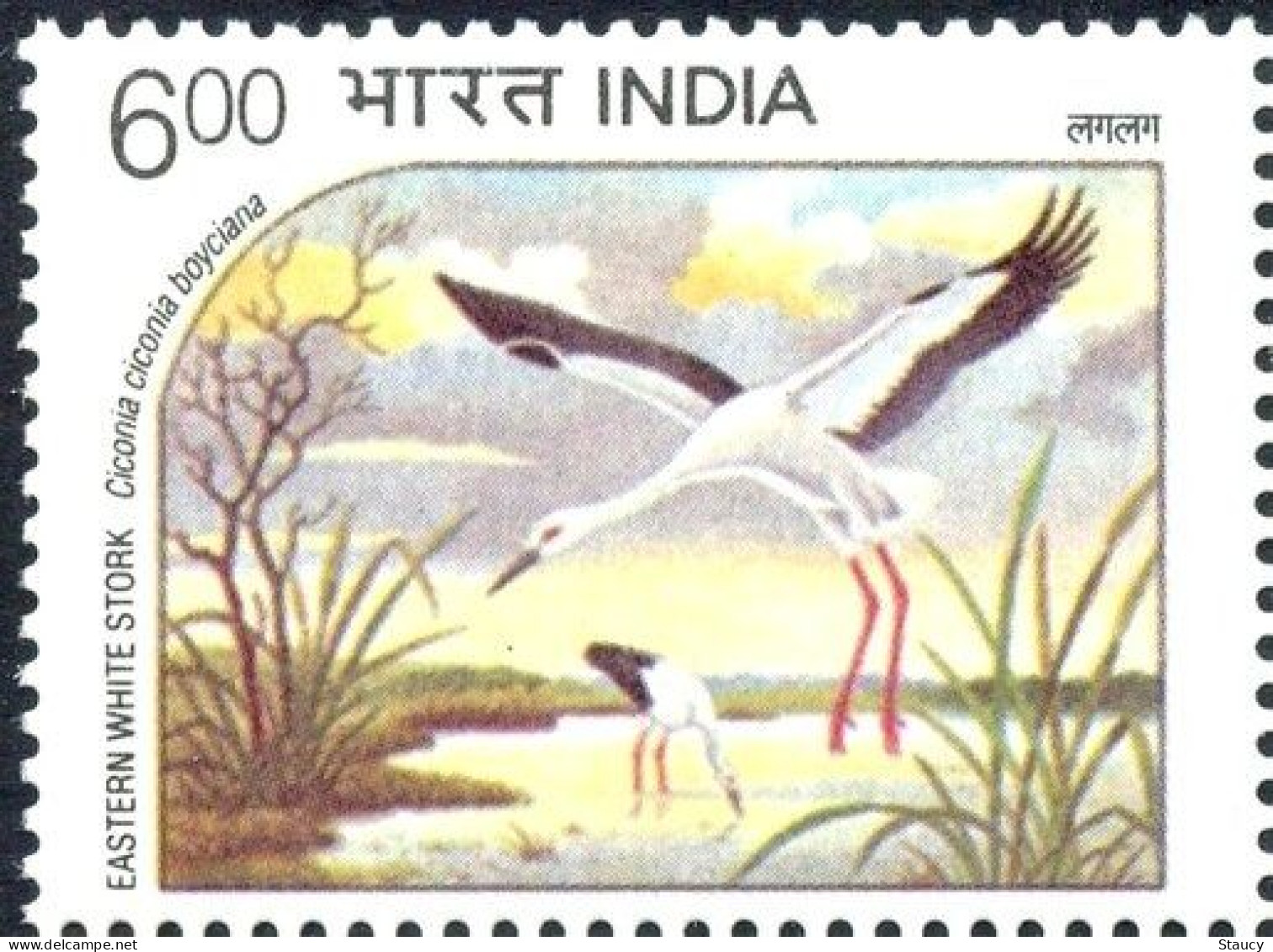 INDIA 1994 Endangered Water Birds 1v STAMP MNH "WITHDRAWN" ISSUE As Per Scan - Oies