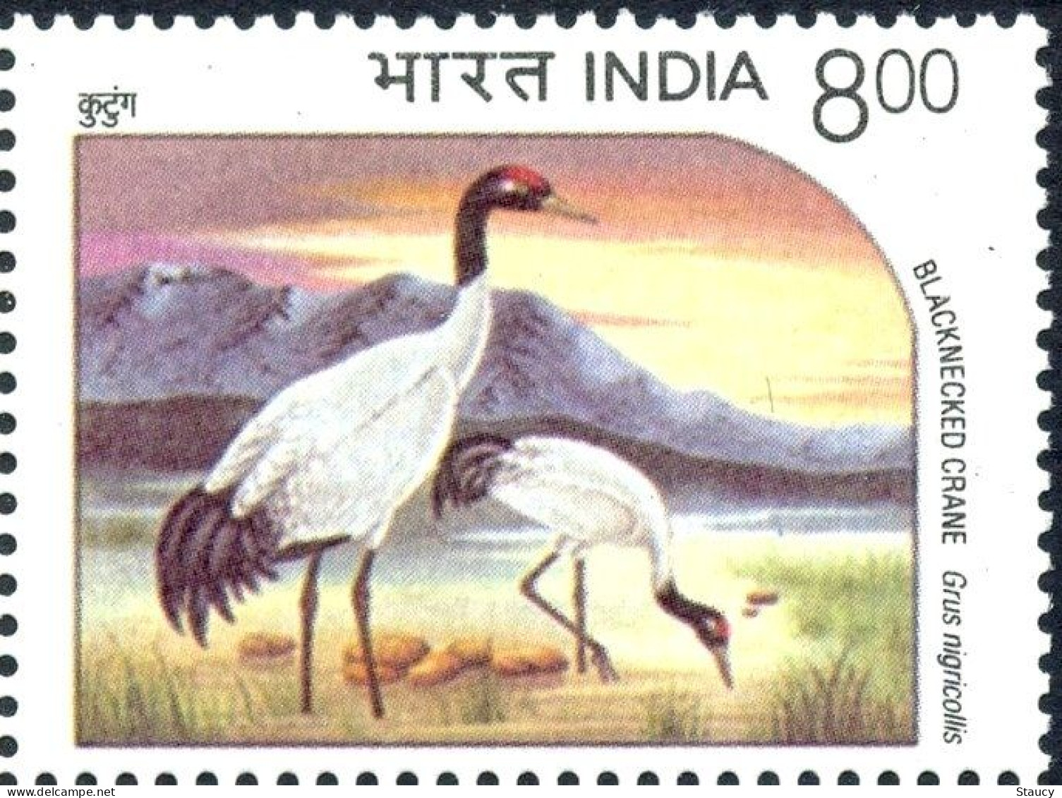 INDIA 1994 Endangered Water Birds 1v STAMP MNH "WITHDRAWN" ISSUE As Per Scan - Gänsevögel