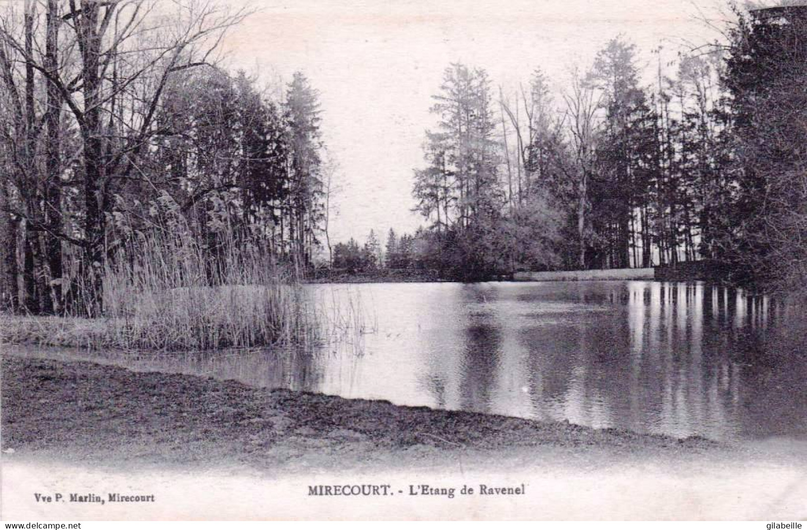 88 - Vosges -  MIRECOURT - L'étang De Ravenel - Mirecourt