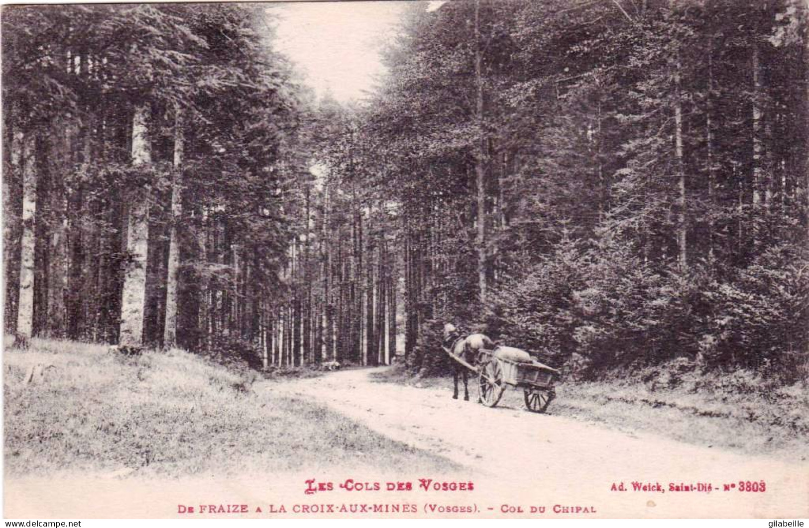 88 - Vosges - De FRAIZE A La CROIX Aux MINES - Col Du Chipal - Fraize