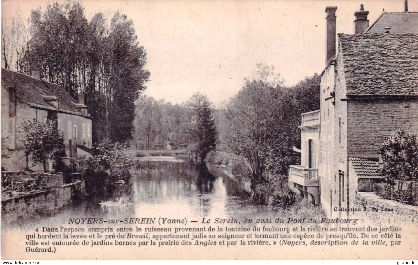 89 - Yonne -  NOYERS Sur SEREIN - Le Serein En Aval Du Pont Du Faubourg - Noyers Sur Serein