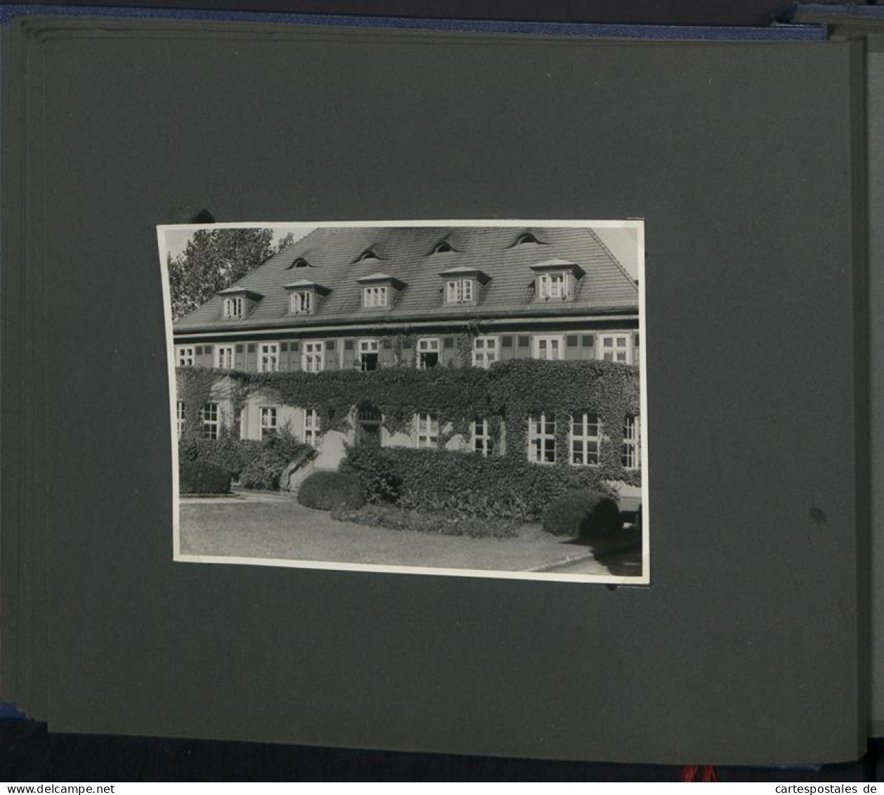 Fotoalbum mit 124 Fotografien, Ansicht Insel Riems, Friedrich Loeffler Institut (FLI), Vierenforschung, Sezierung 