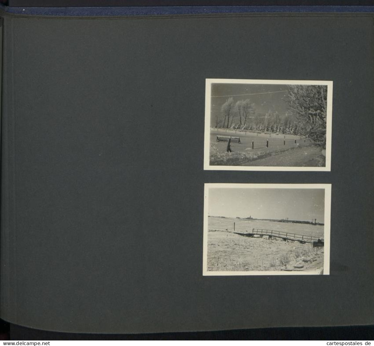 Fotoalbum mit 124 Fotografien, Ansicht Insel Riems, Friedrich Loeffler Institut (FLI), Vierenforschung, Sezierung 