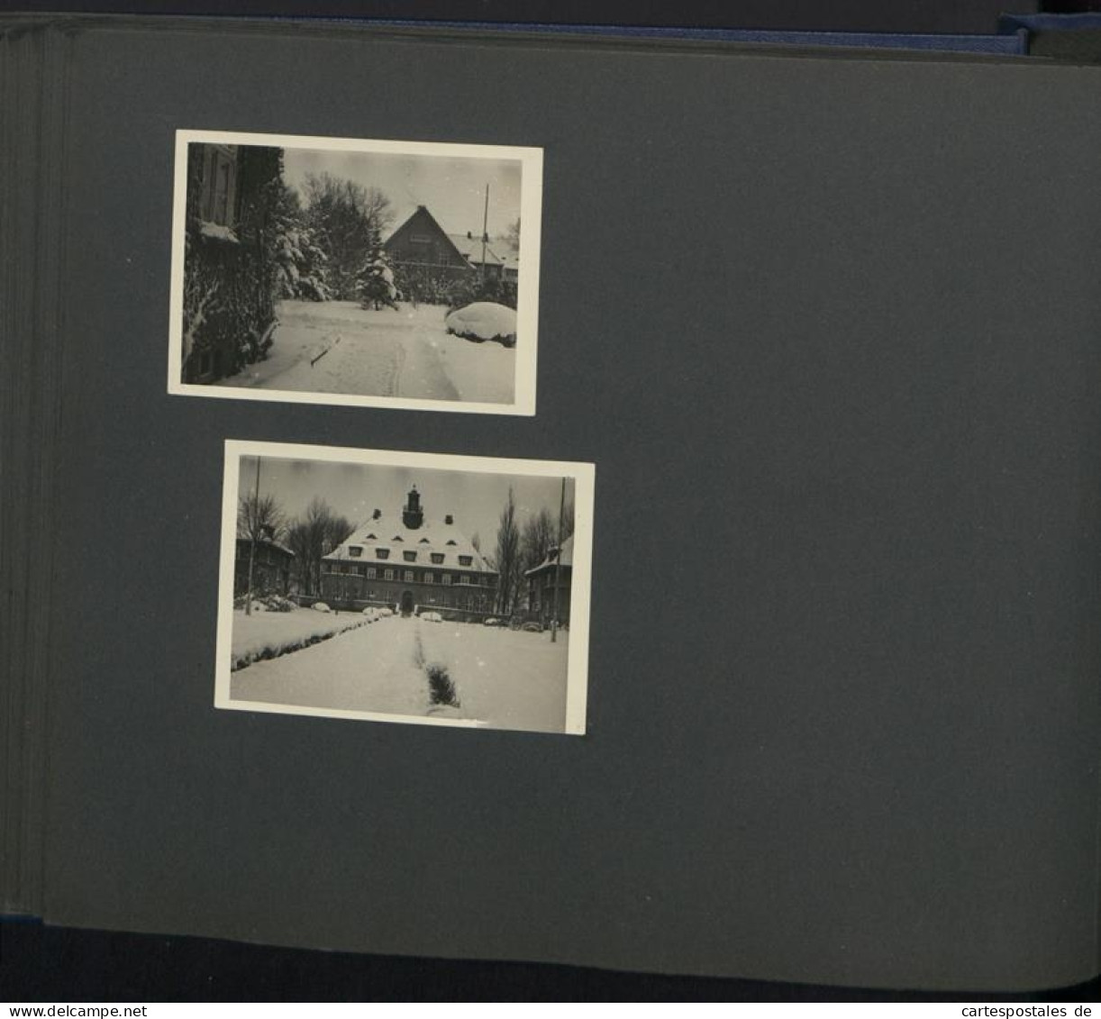 Fotoalbum mit 124 Fotografien, Ansicht Insel Riems, Friedrich Loeffler Institut (FLI), Vierenforschung, Sezierung 