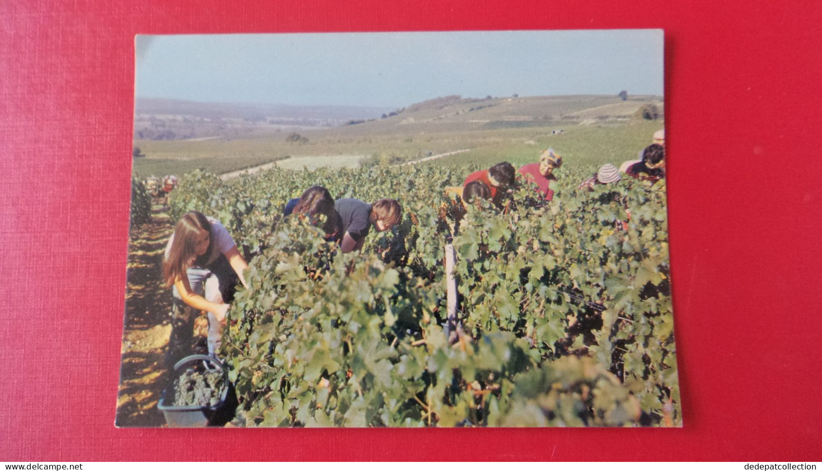 Pouilly Sur Loire - Pouilly Sur Loire