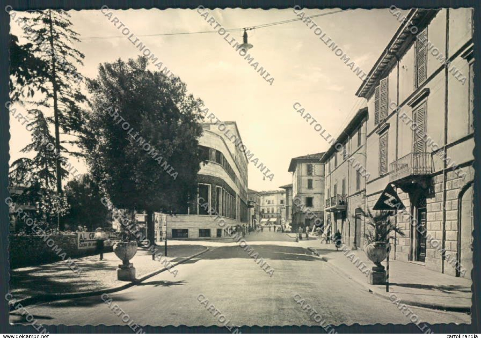 Forlì Castrocaro Terme Foto FG Cartolina ZF5760 - Forlì