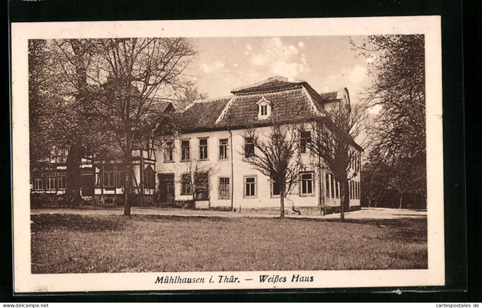 AK Mühlhausen I. Thür., Weisses Haus  - Mühlhausen