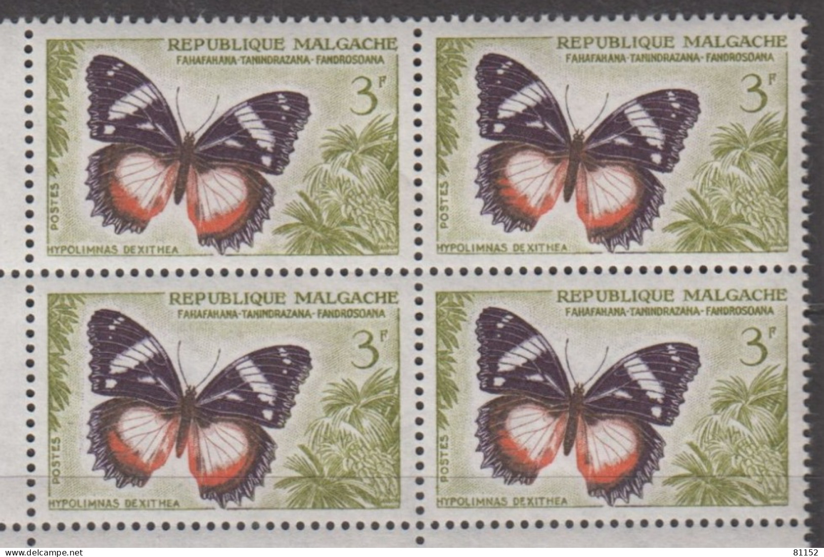 MADAGASCAR Coins Datés " Hypolimnas Dexithea " 3F Y.et.T. 345 Le 25 4 1960 Neuf  Scan Recto-verso - Unused Stamps
