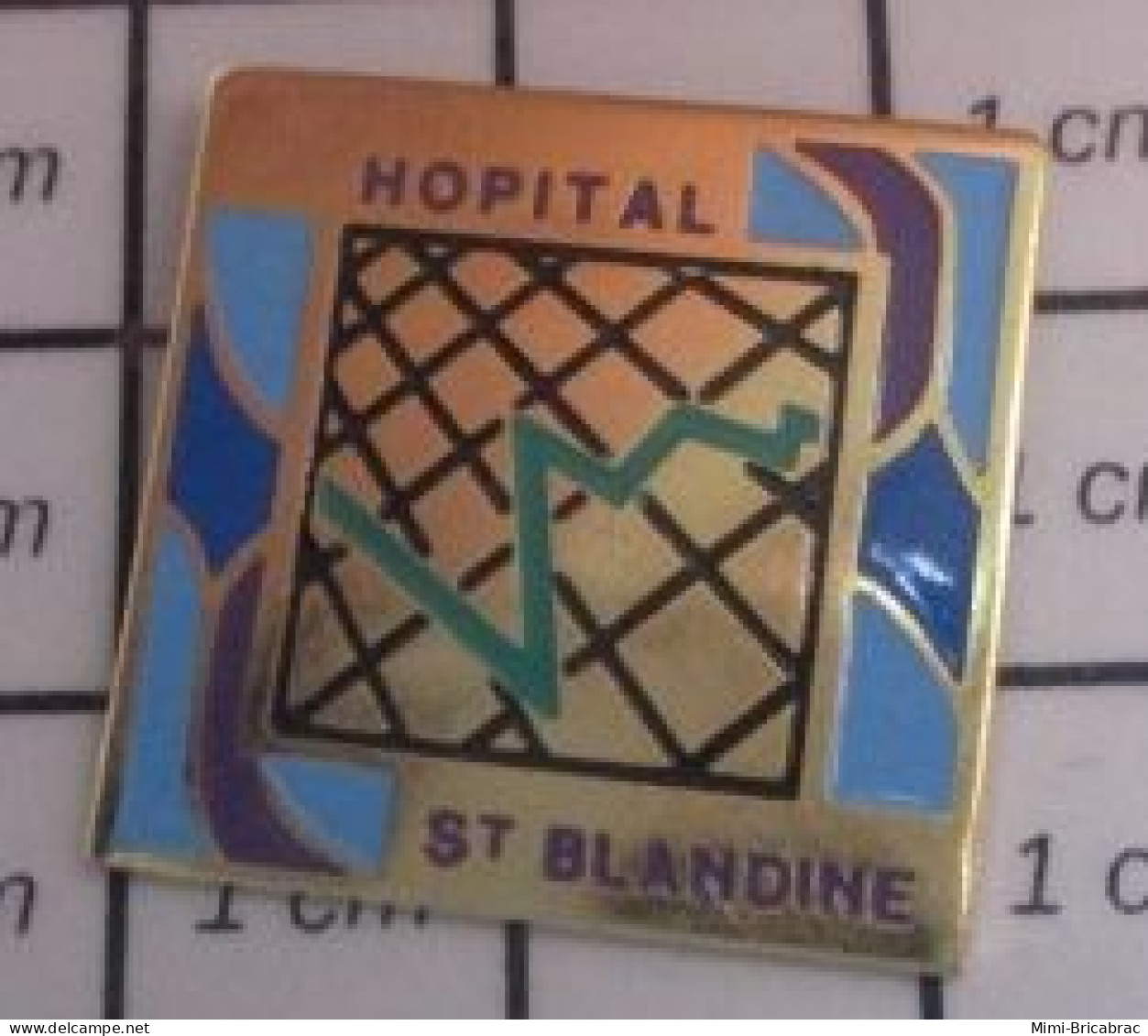 1618A Pin's Pins / Beau Et Rare : MEDICAL / HOPITAL ST BLANDINE - Médical