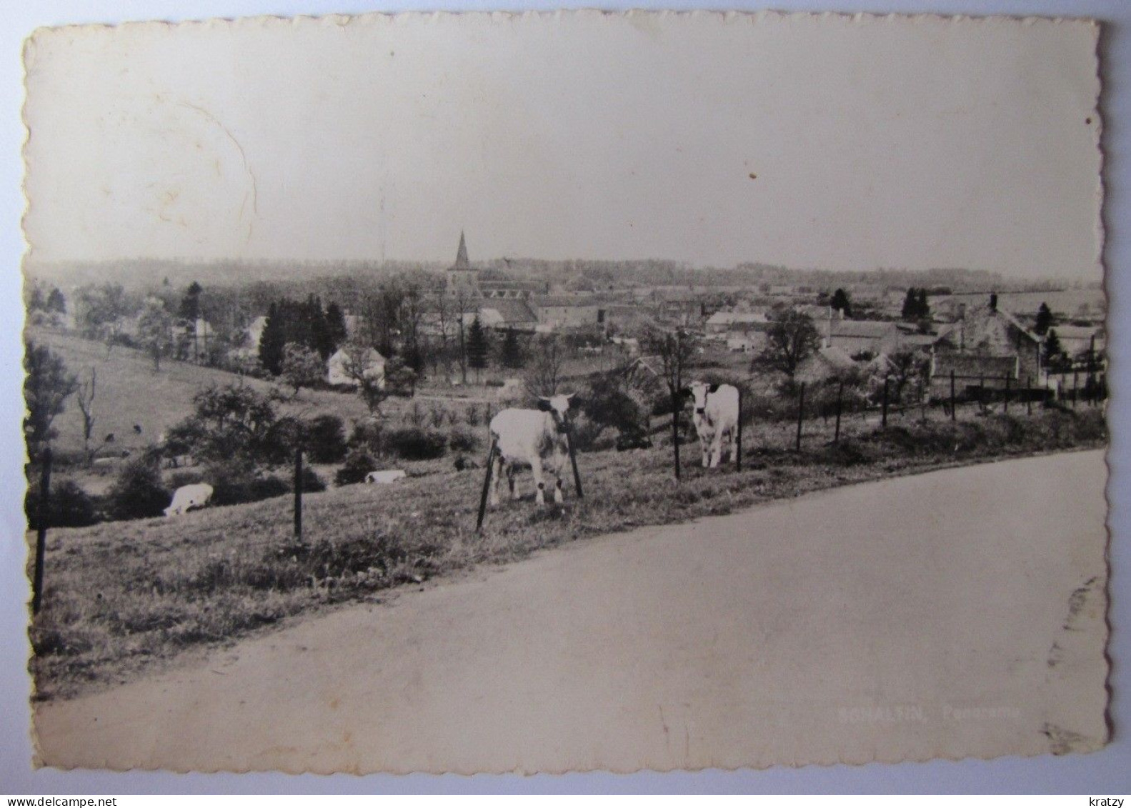 BELGIQUE - NAMUR - HAMOIS - SCHALTIN - Panorama - Hamois