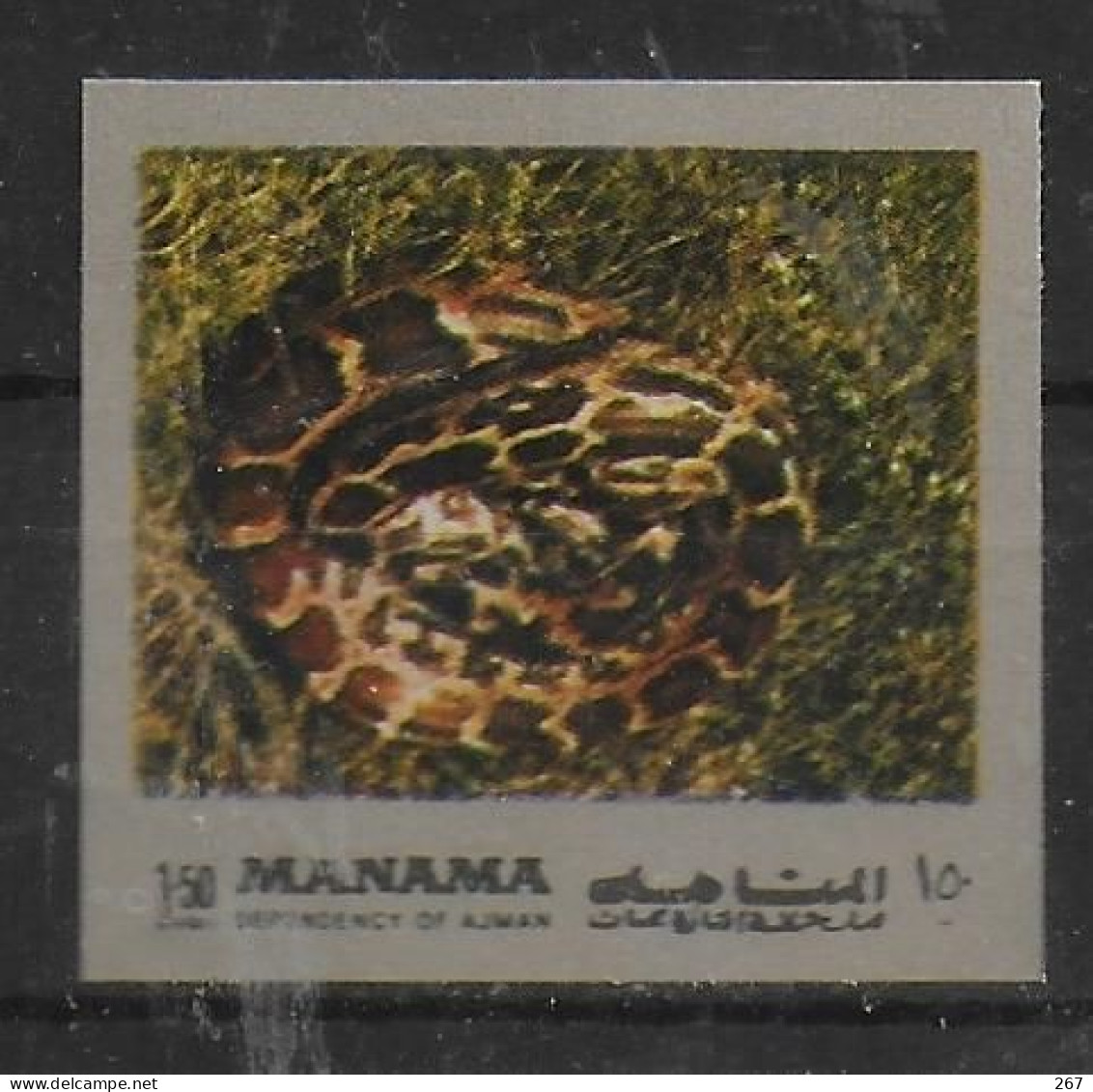 MANAMA   N°   * *   NON DENTELE Serpent - Snakes