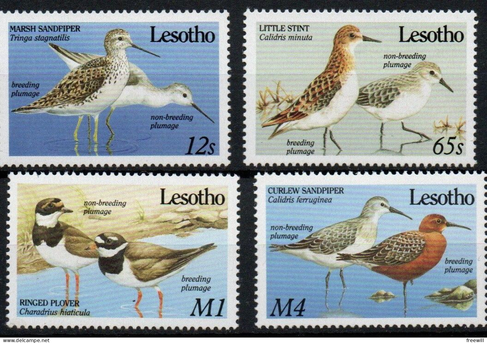 Lesotho Poissons-Vissen- Fishes XXX 1989 - Lesotho (1966-...)