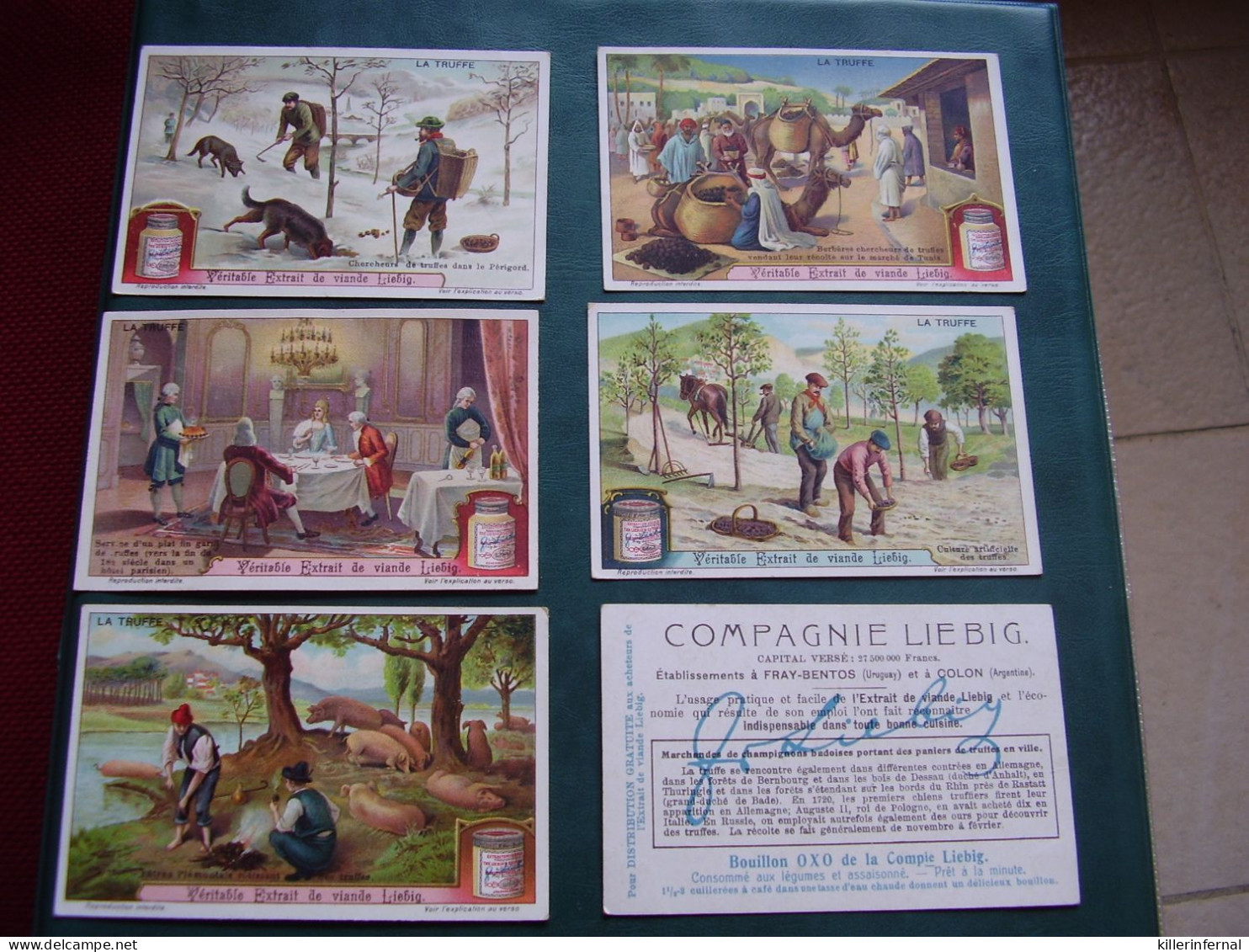 Original Old Cards Chromos Liebig S 1031 La Truffe Complet - Liebig