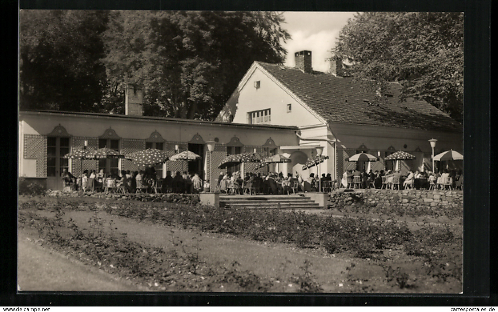 AK Putbus /Rügen, Konsum-Rosen-Café  - Ruegen