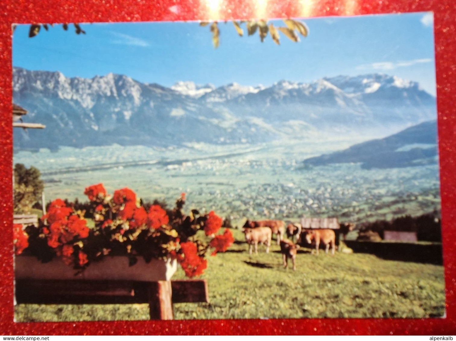 Blick Vom Gamserberg Ins Rheintal (neuwertig) - Buchs