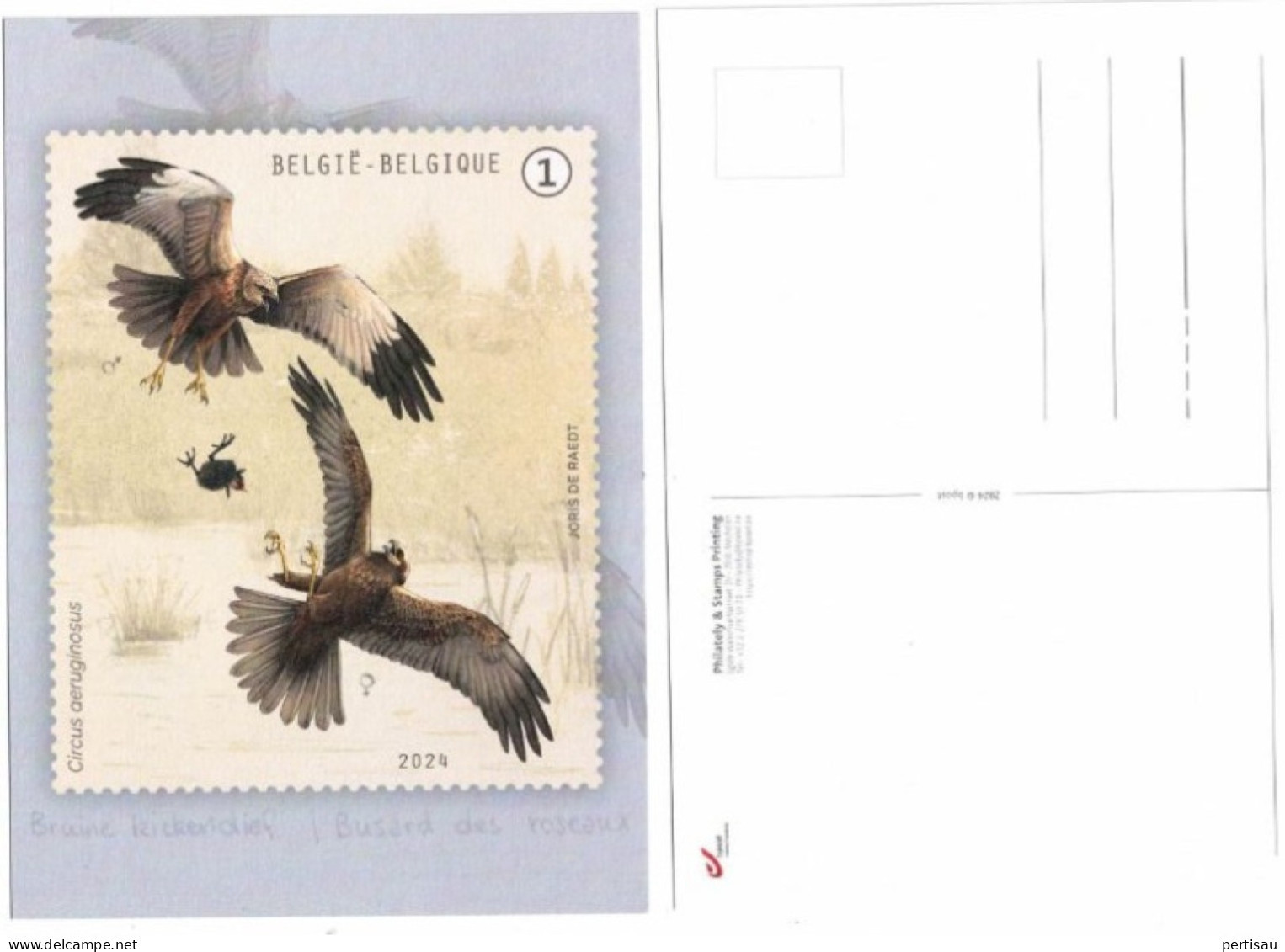 Kaart Balsgedrag 2024 - Souvenir Cards - Joint Issues [HK]