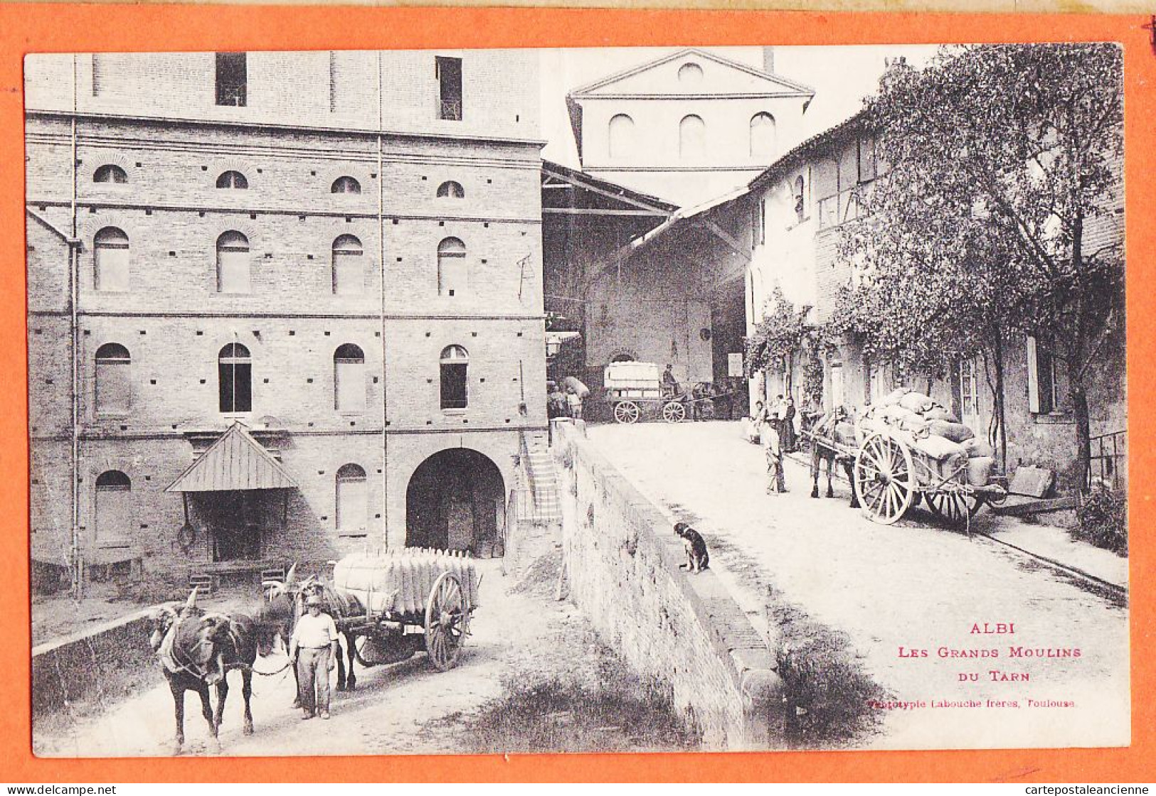 24868 / ⭐ ALBI ◉ GRANDS MOULINS Du TARN Usine Quai En Pente Accès Charettes Blé Farine ◉ 1906 à PEZET ◉ LABOUCHE - Albi