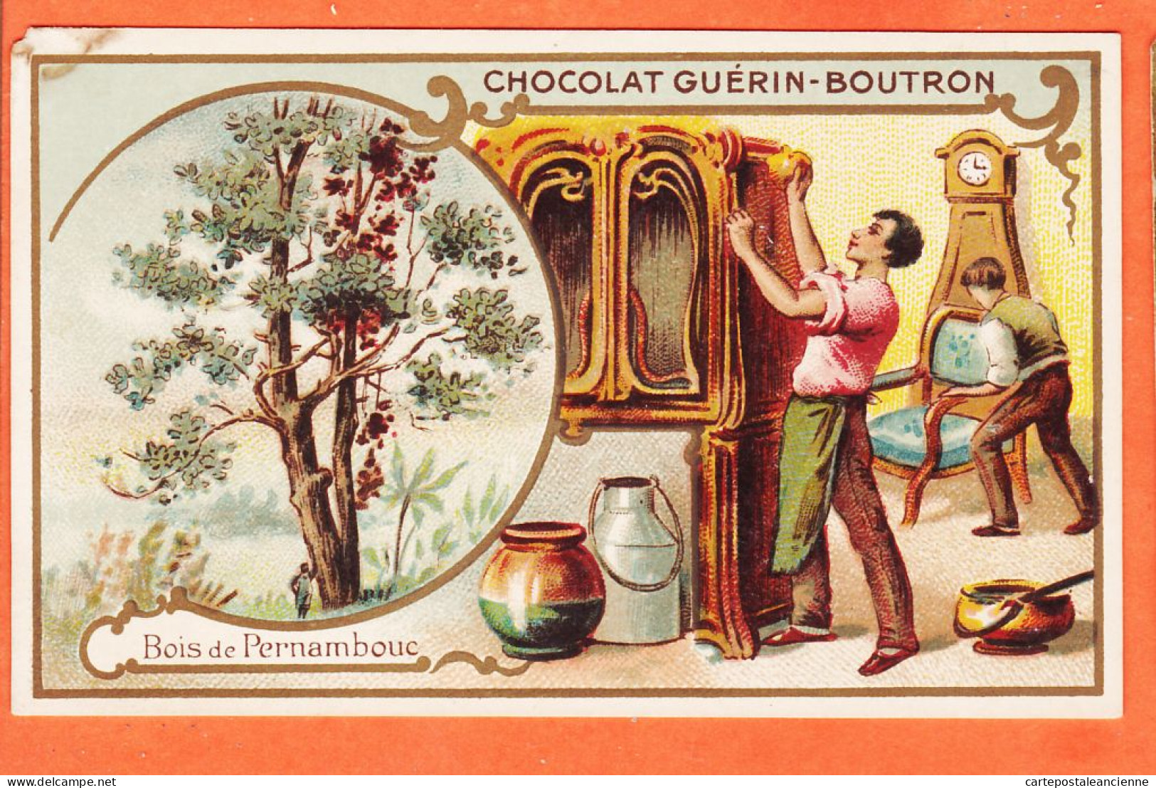 24829 / ♥️ Chromo Chocolat GUERIN-BOUTRON ◉ SAPIN Conifere Poix Terebenthine ◉ PARIS Rue MAROC Poissonniere St-Sulpice - Guerin Boutron