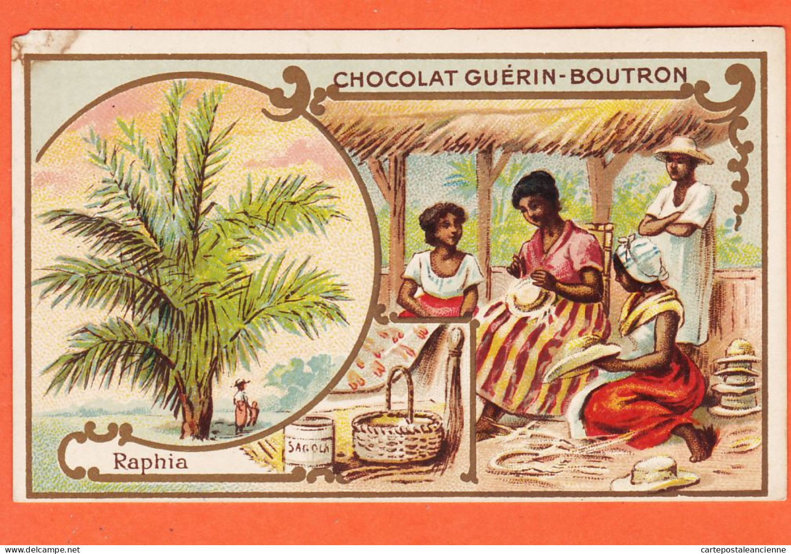24823 /⭐ Chromo Chocolat GUERIN-BOUTRON ◉ RAPHIA Arbre MADAGASCAR Palmiers ◉ PARIS Rue MAROC Poissonniere St-Sulpice - Guérin-Boutron