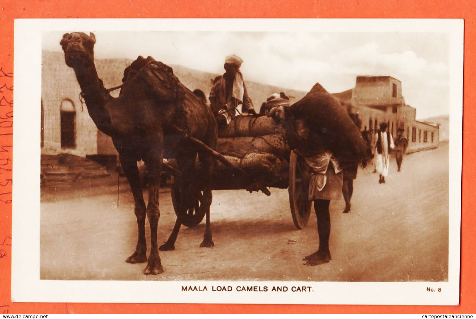 24687 / ⭐ MAALA Yemen ◉ M.S LEHEM & Co  N° 8 ◉ Load Camels And Cart ◉ Attelage Chameau Charrette Yéménite 1930s - Jemen