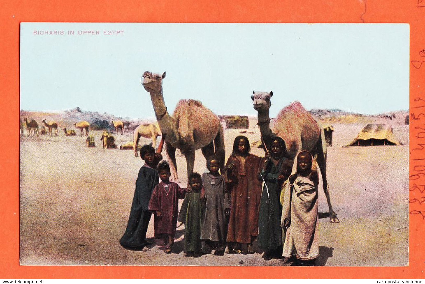 24678 / ⭐ BICHARIS البشارية In Upper Egypt ◉ Lichtenstern & Harari N° 351 ◉ Ethnic Haute-Egypte Bishari - Persone