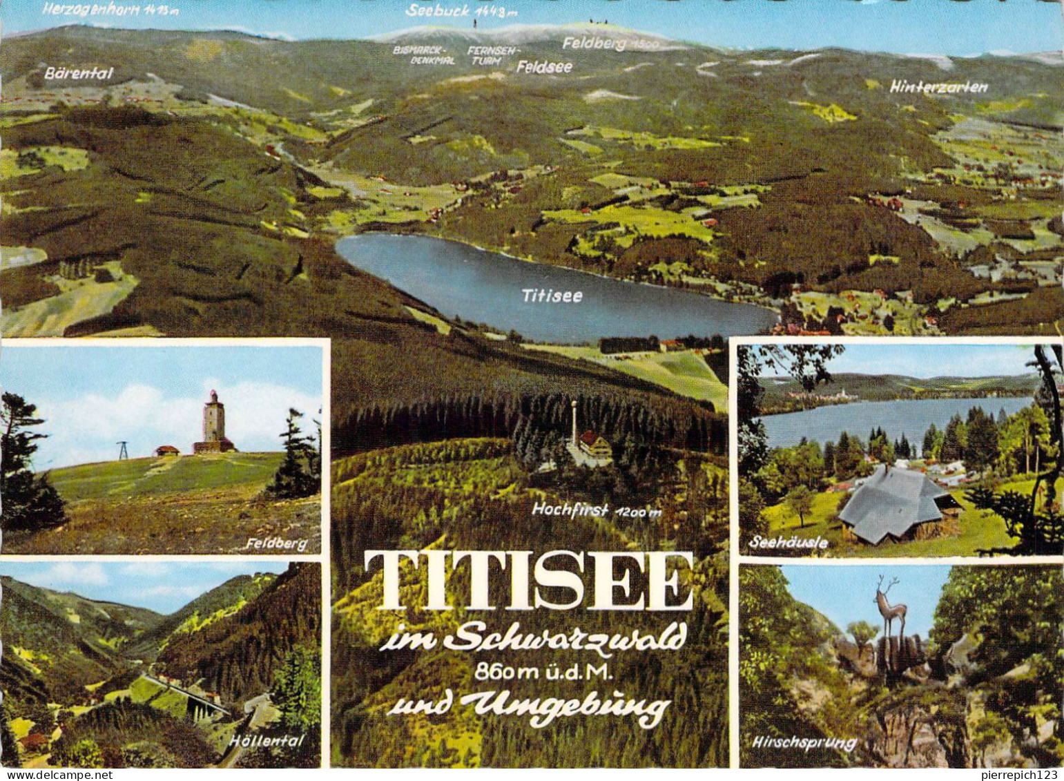 Titisee - Multivues - Titisee-Neustadt