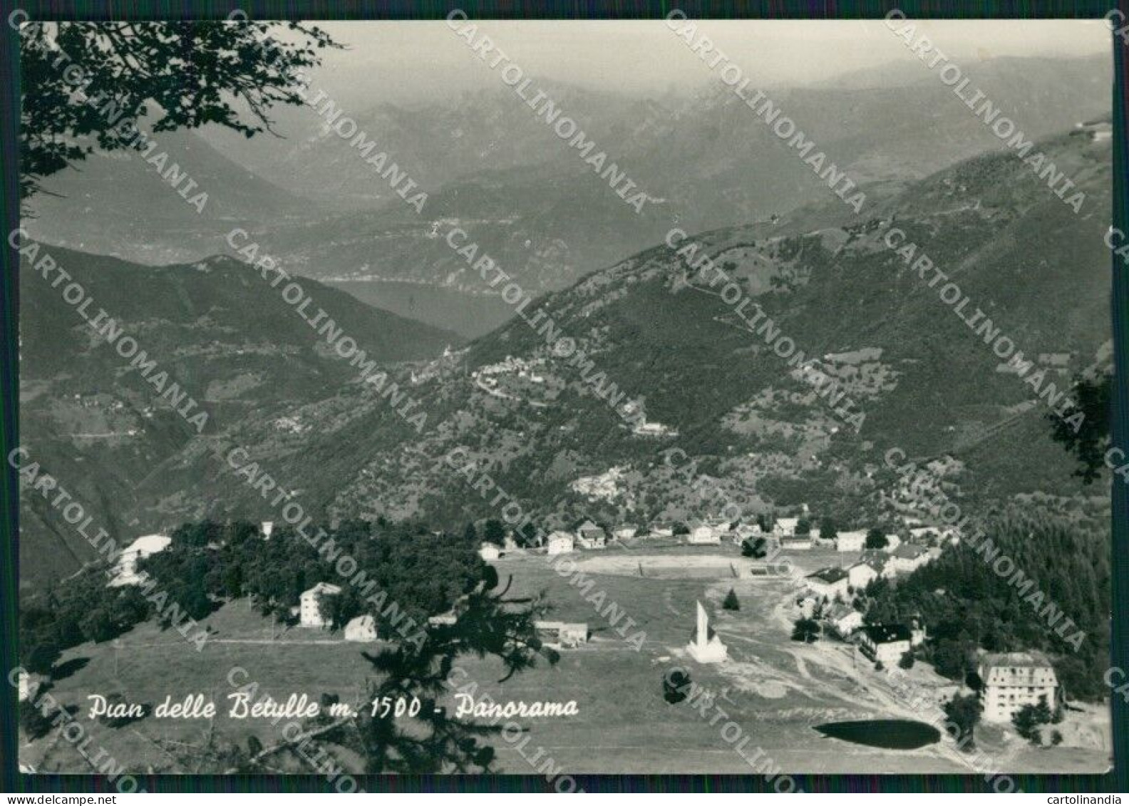 Lecco Margno Pian Delle Betulle Foto FG Cartolina KB4329 - Lecco