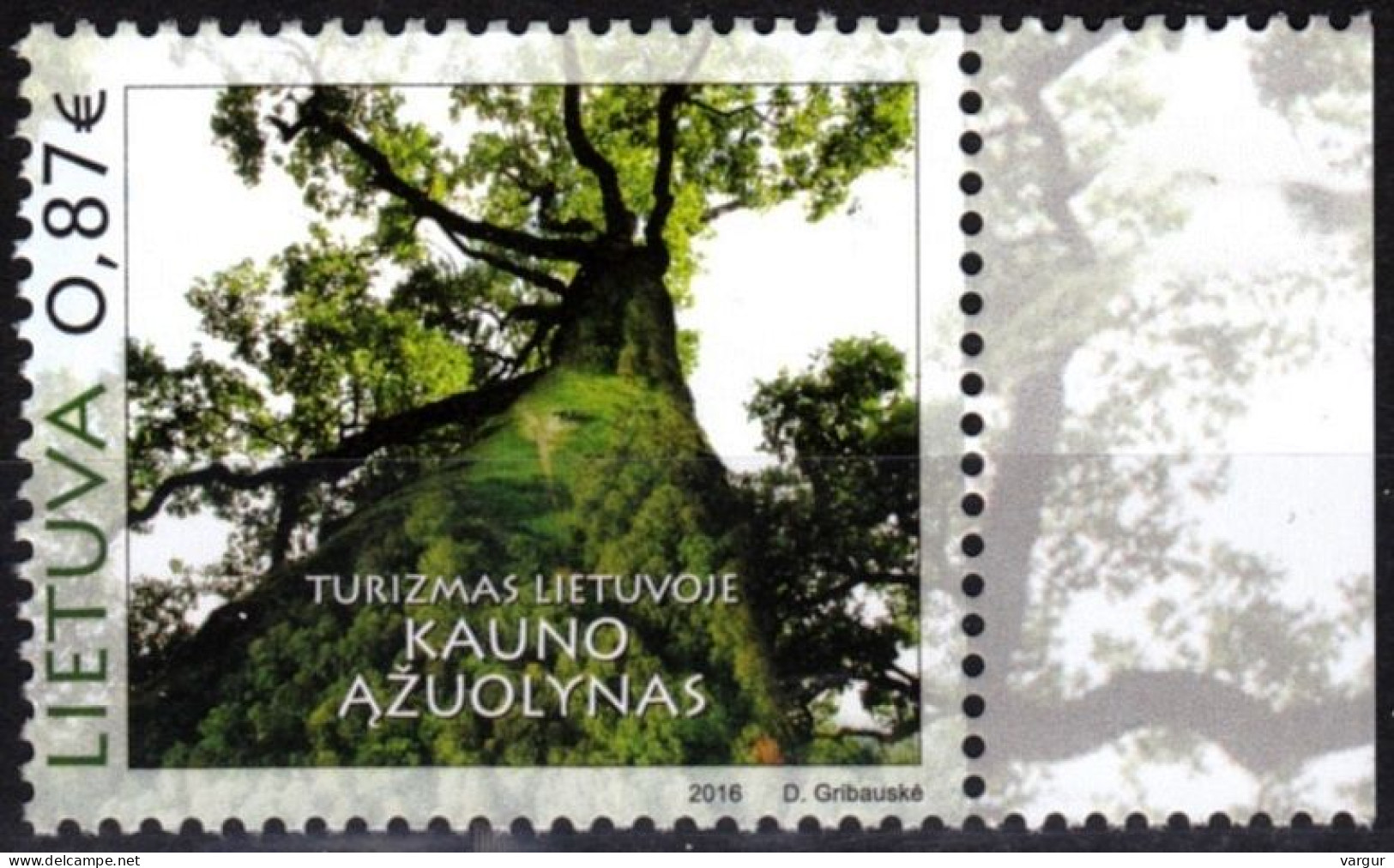 LITHUANIA 2016 FLORA: Kaunas Oak Tree. Tourism. Flora Plants, MNH - Arbres