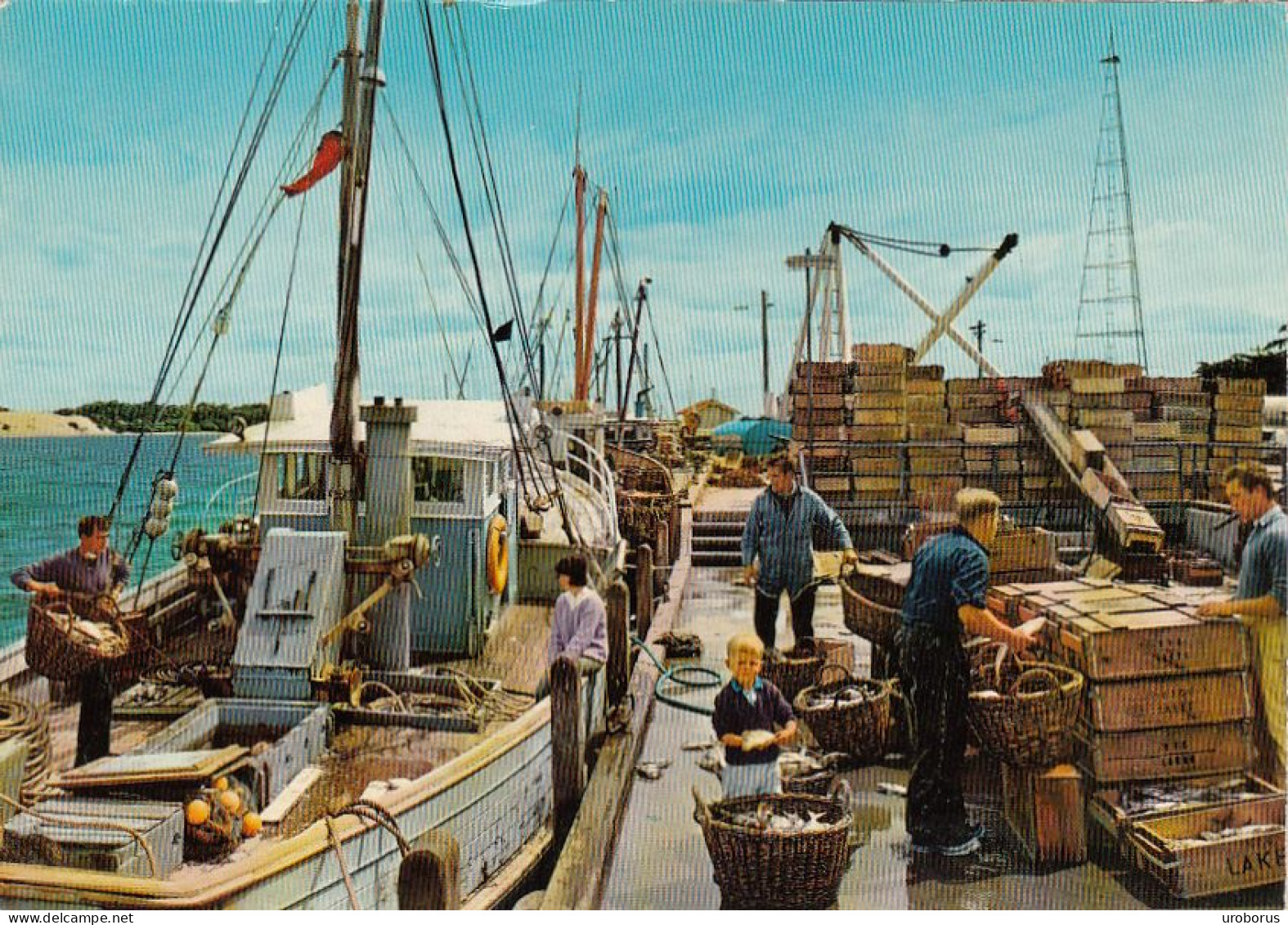 AUSTRALIA - Lakes Entrance - Typical Lakes Entrance Trawler Scene - Gippsland